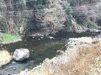 秩父フライフィールド 釣果