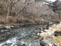 秩父フライフィールド 釣果