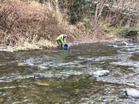 秩父フライフィールド 釣果