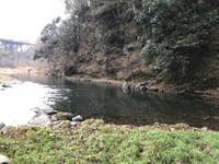 秩父フライフィールド 釣果