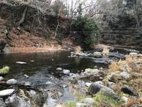 秩父フライフィールド 釣果