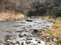 秩父フライフィールド 釣果