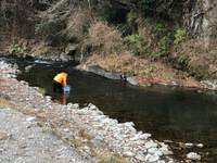 秩父フライフィールド 釣果