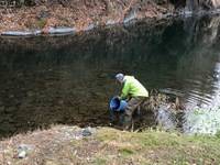 秩父フライフィールド 釣果