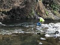 秩父フライフィールド 釣果