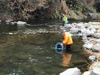 秩父フライフィールド 釣果