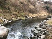 秩父フライフィールド 釣果