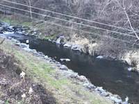 秩父フライフィールド 釣果