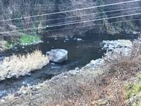 秩父フライフィールド 釣果