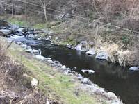 秩父フライフィールド 釣果