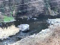 秩父フライフィールド 釣果