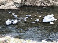 秩父フライフィールド 釣果