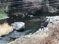 秩父フライフィールド 釣果