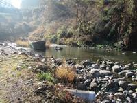 秩父フライフィールド 釣果