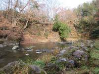 秩父フライフィールド 釣果