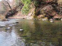 秩父フライフィールド 釣果