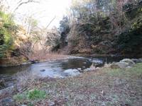 秩父フライフィールド 釣果