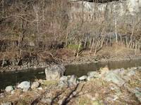 秩父フライフィールド 釣果