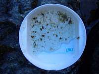 秩父フライフィールド 釣果