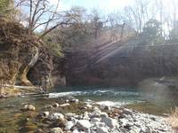 秩父フライフィールド 釣果