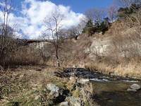 秩父フライフィールド 釣果