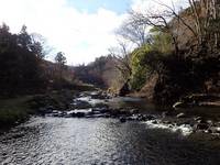 秩父フライフィールド 釣果