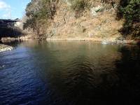 秩父フライフィールド 釣果