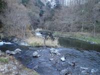 秩父フライフィールド 釣果