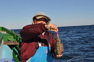 根岸丸 釣果