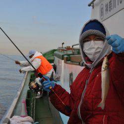 根岸丸 釣果