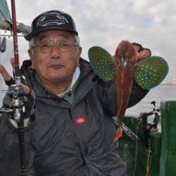 根岸丸 釣果