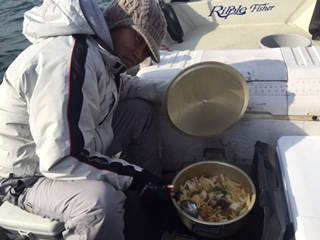 Ｒｕｓｈ（ラッシュ） 釣果