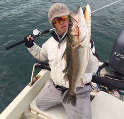 Ｒｕｓｈ（ラッシュ） 釣果