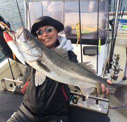 Ｒｕｓｈ（ラッシュ） 釣果