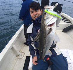 Ｒｕｓｈ（ラッシュ） 釣果