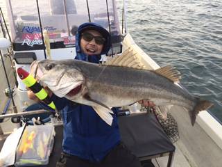 Ｒｕｓｈ（ラッシュ） 釣果