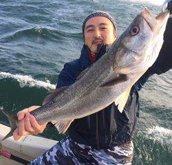 Ｒｕｓｈ（ラッシュ） 釣果