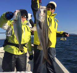 Ｒｕｓｈ（ラッシュ） 釣果