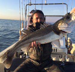 Ｒｕｓｈ（ラッシュ） 釣果