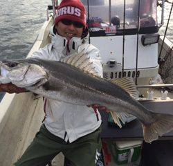 Ｒｕｓｈ（ラッシュ） 釣果