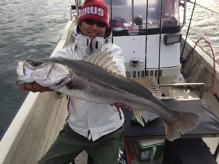 Ｒｕｓｈ（ラッシュ） 釣果