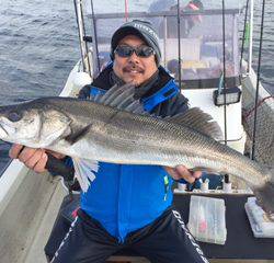 Ｒｕｓｈ（ラッシュ） 釣果