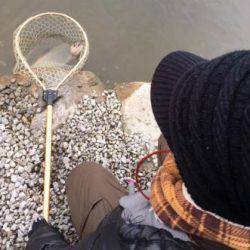 フィッシング サンクチュアリ 釣果