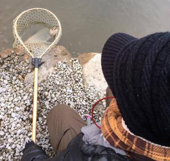 フィッシング サンクチュアリ 釣果