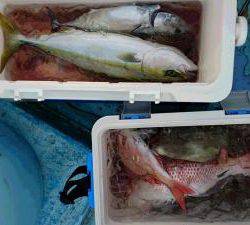はじめ丸 釣果