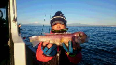 かねい丸 釣果