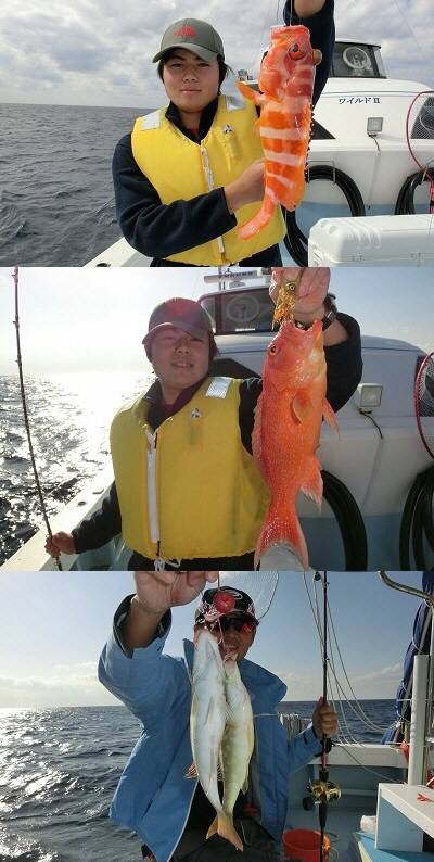 WILDⅡ 釣果
