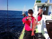 なごみ船 釣果