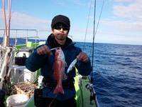 なごみ船 釣果