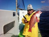 なごみ船 釣果